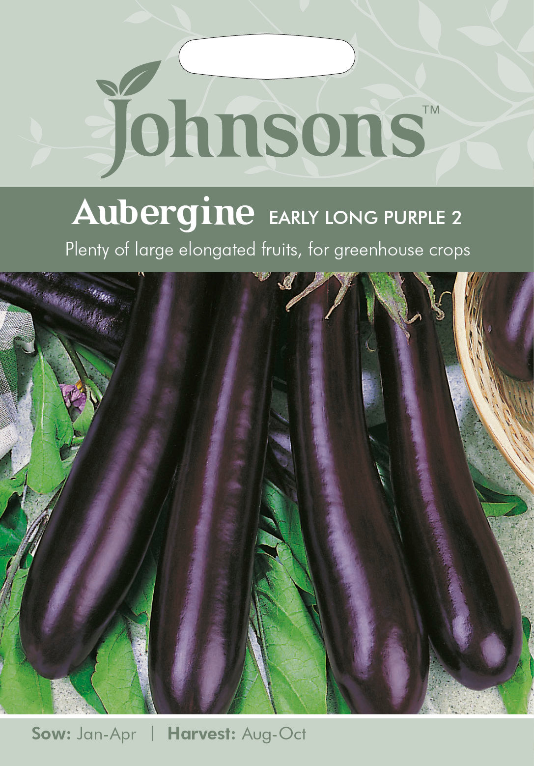 AUBERGINE Early Long Purple 2