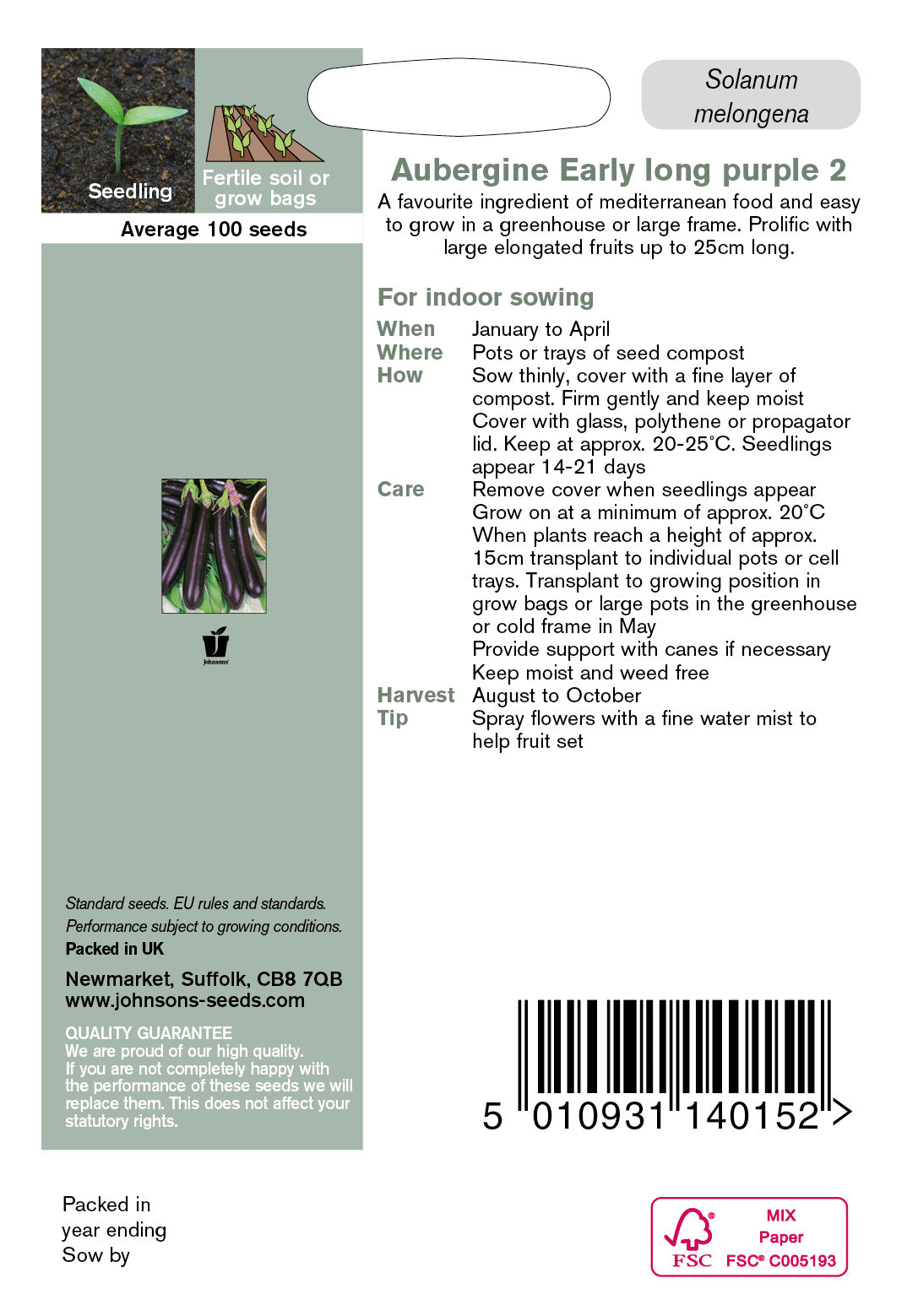 AUBERGINE Early Long Purple 2