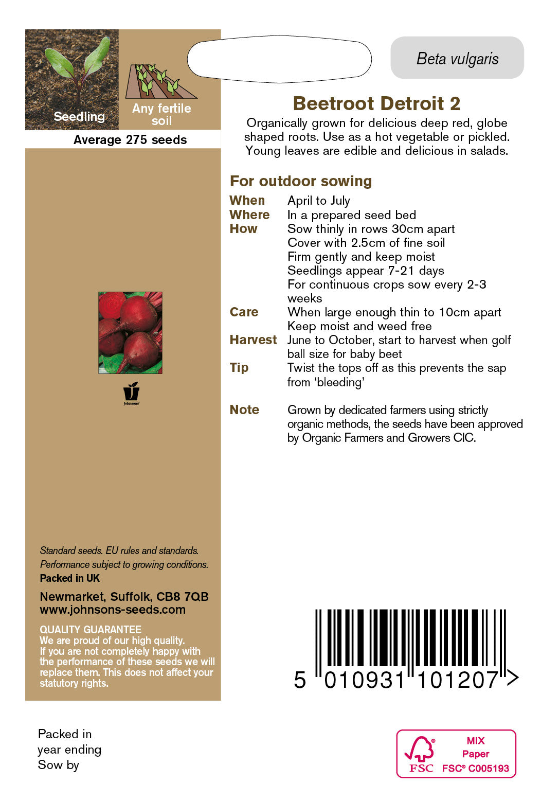 Organic BEETROOT Detroit 2