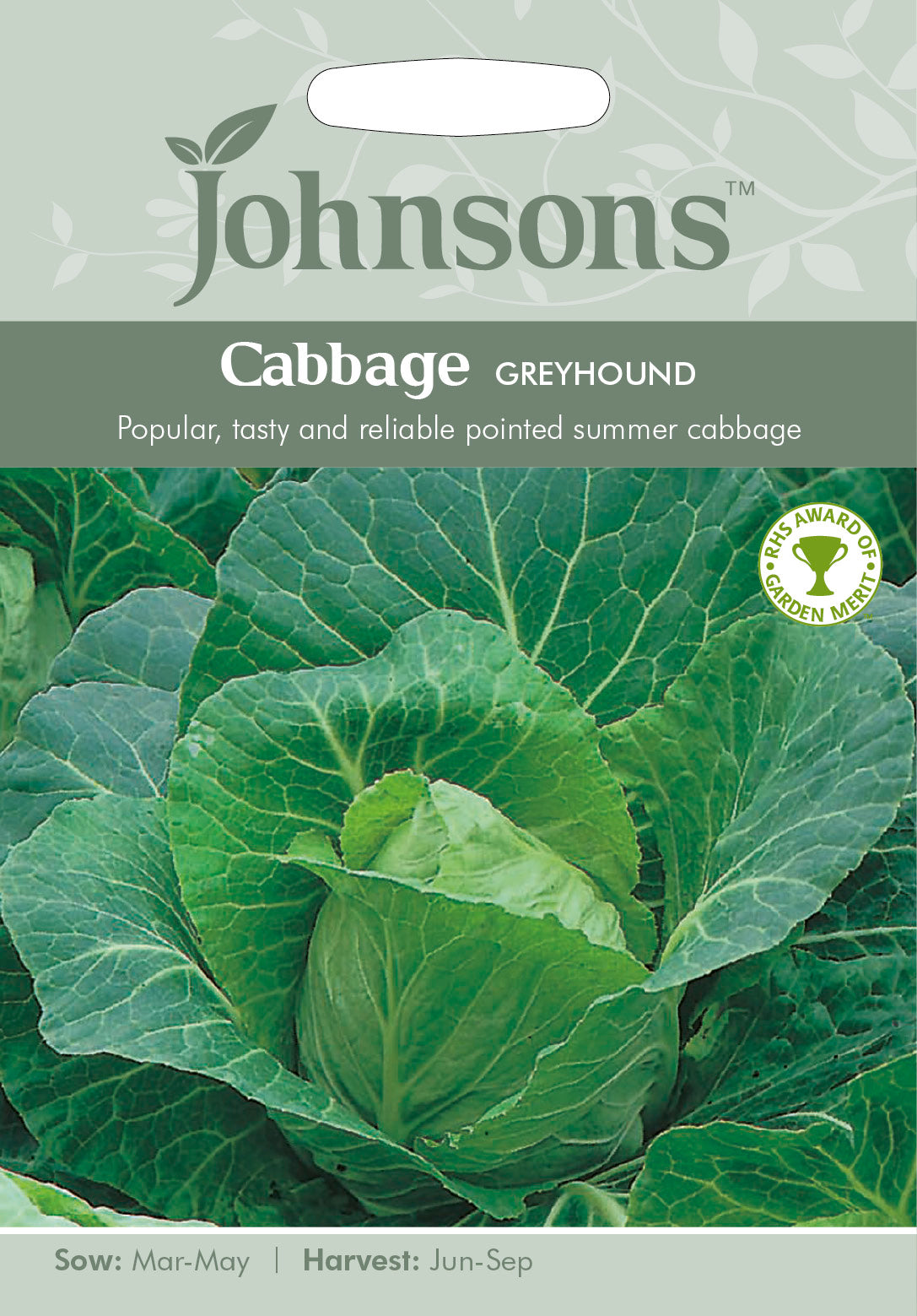 CABBAGE Greyhound