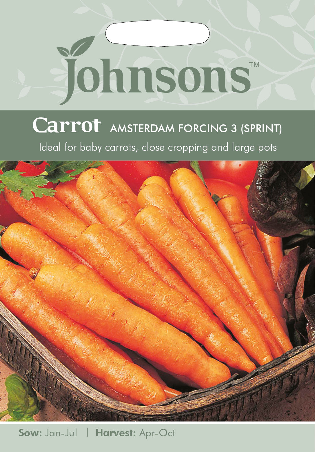 CARROT Amsterdam Forcing 3 (Sprint)