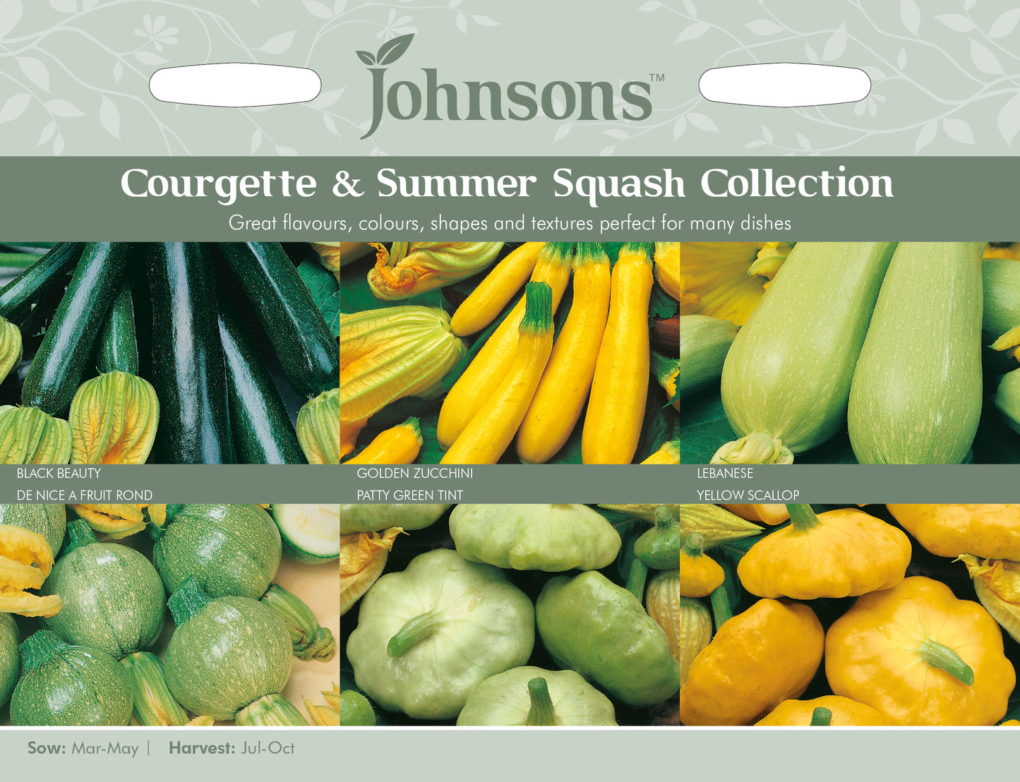 COURGETTE & SUMMER SQUASH COLLECTION