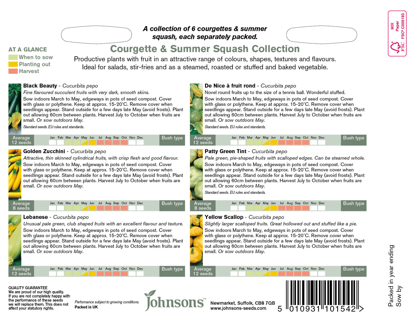 COURGETTE & SUMMER SQUASH COLLECTION