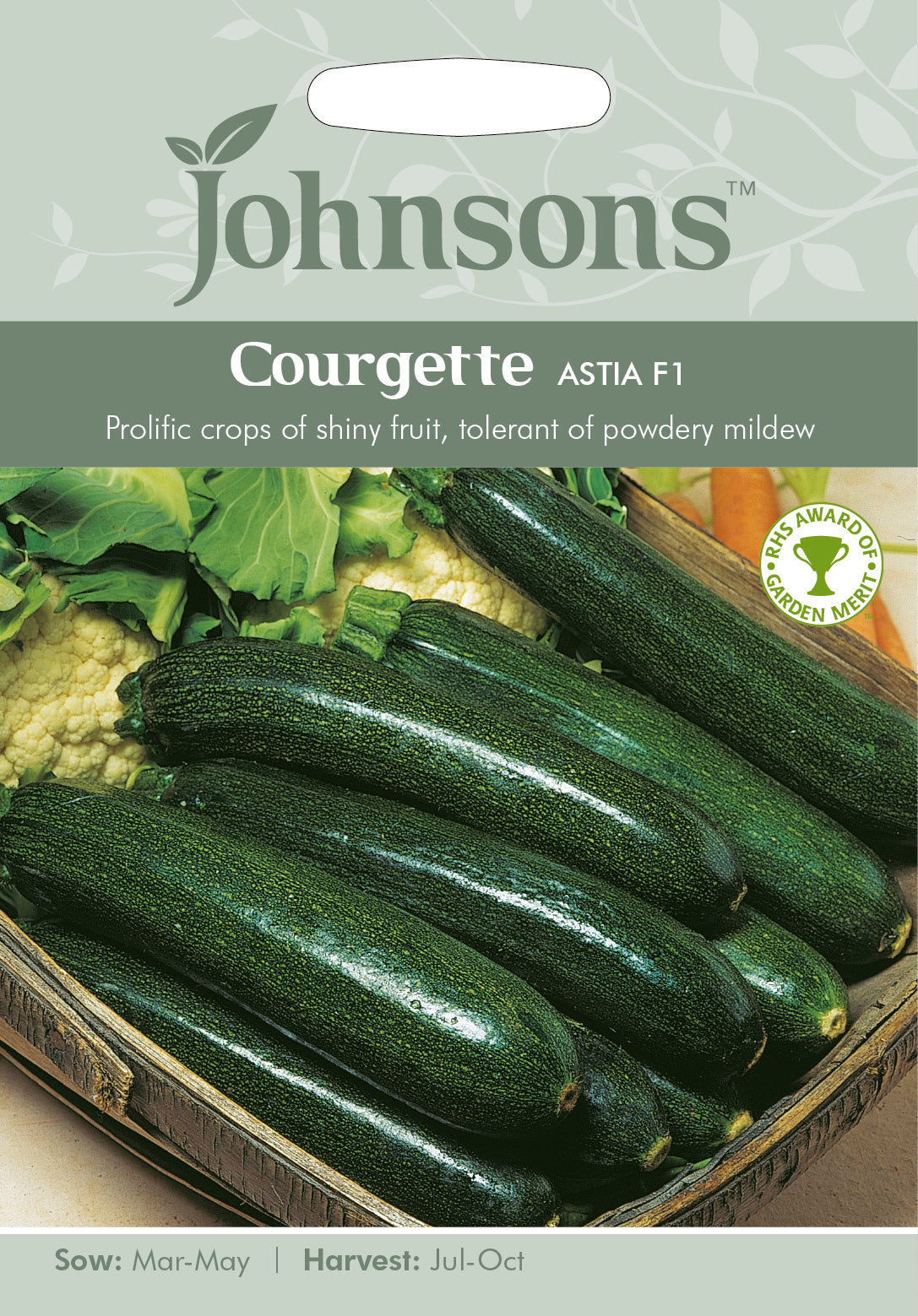 COURGETTE Astia F1