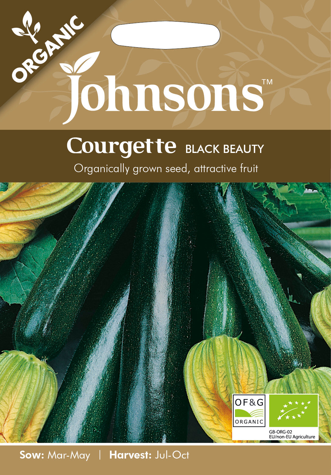Organic COURGETTE Black Beauty
