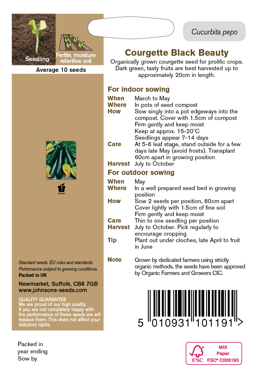 Organic COURGETTE Black Beauty