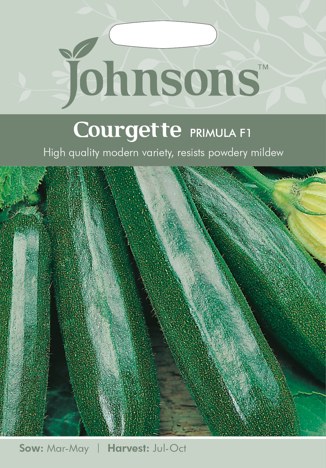 COURGETTE Primula F1