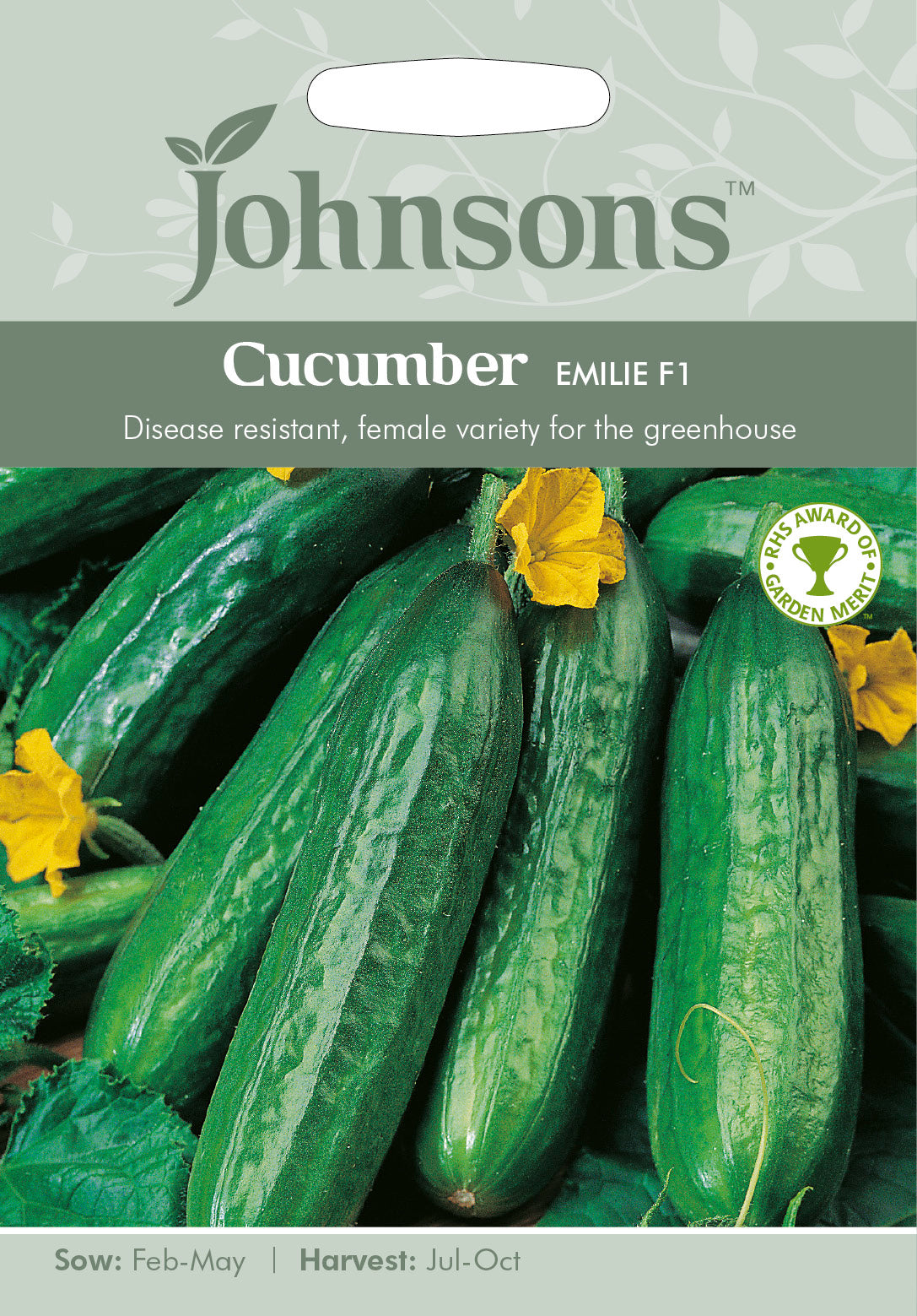 CUCUMBER Emilie F1