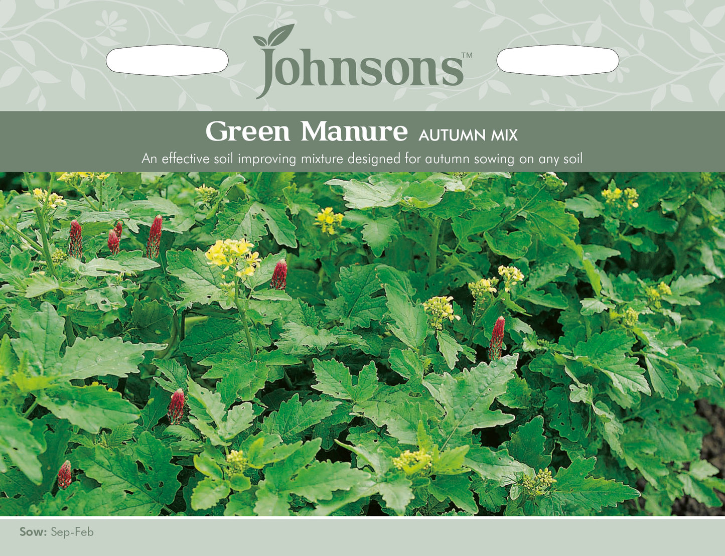 GREEN MANURE Autumn Mix
