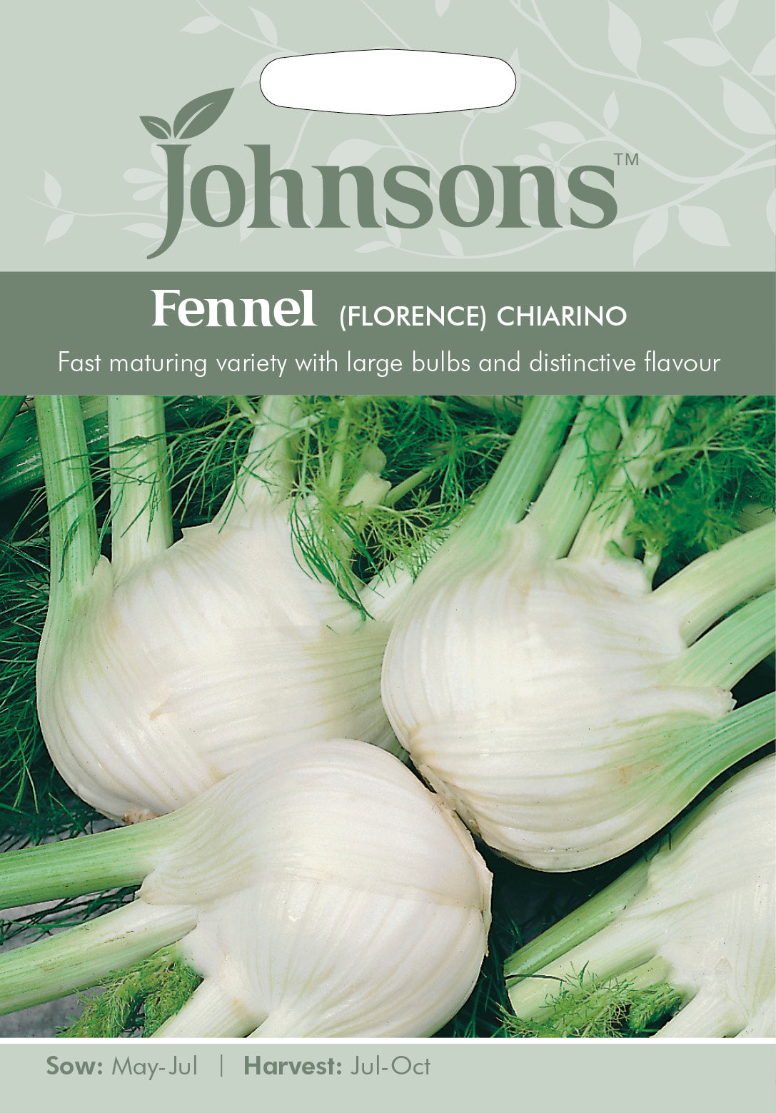 FENNEL (Florence) Chiarino
