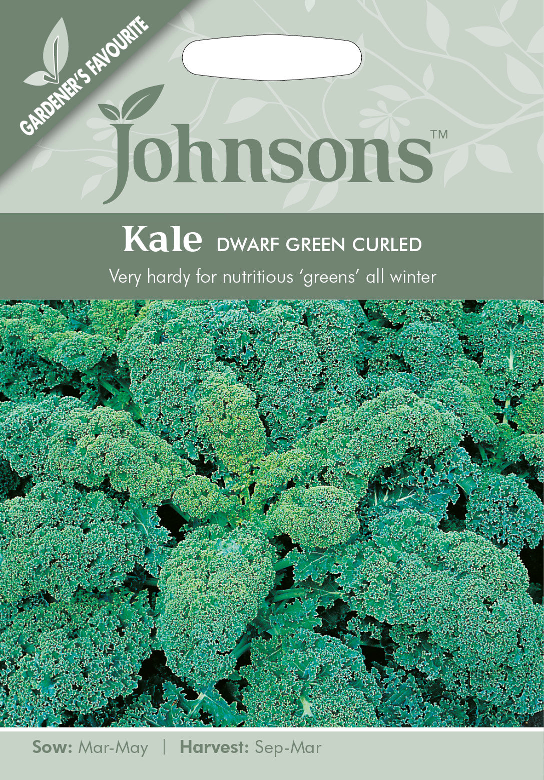 KALE Dwarf Green Curled