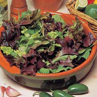 LETTUCE Mixed Salad Leaves