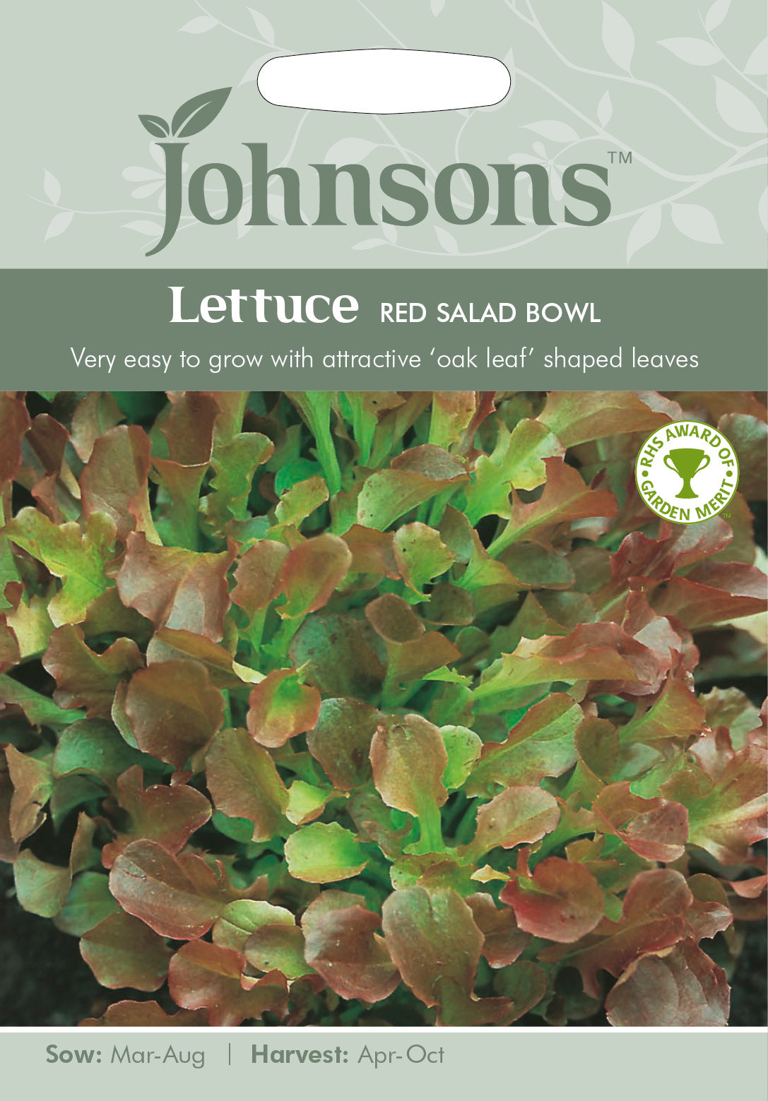LETTUCE Red Salad Bowl