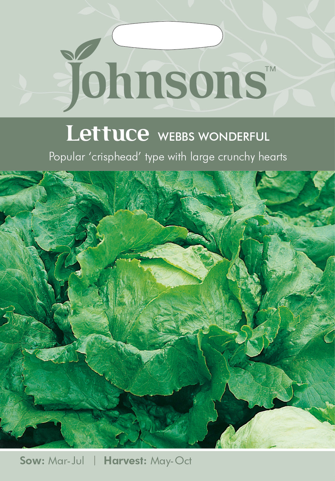 LETTUCE Webbs Wonderful