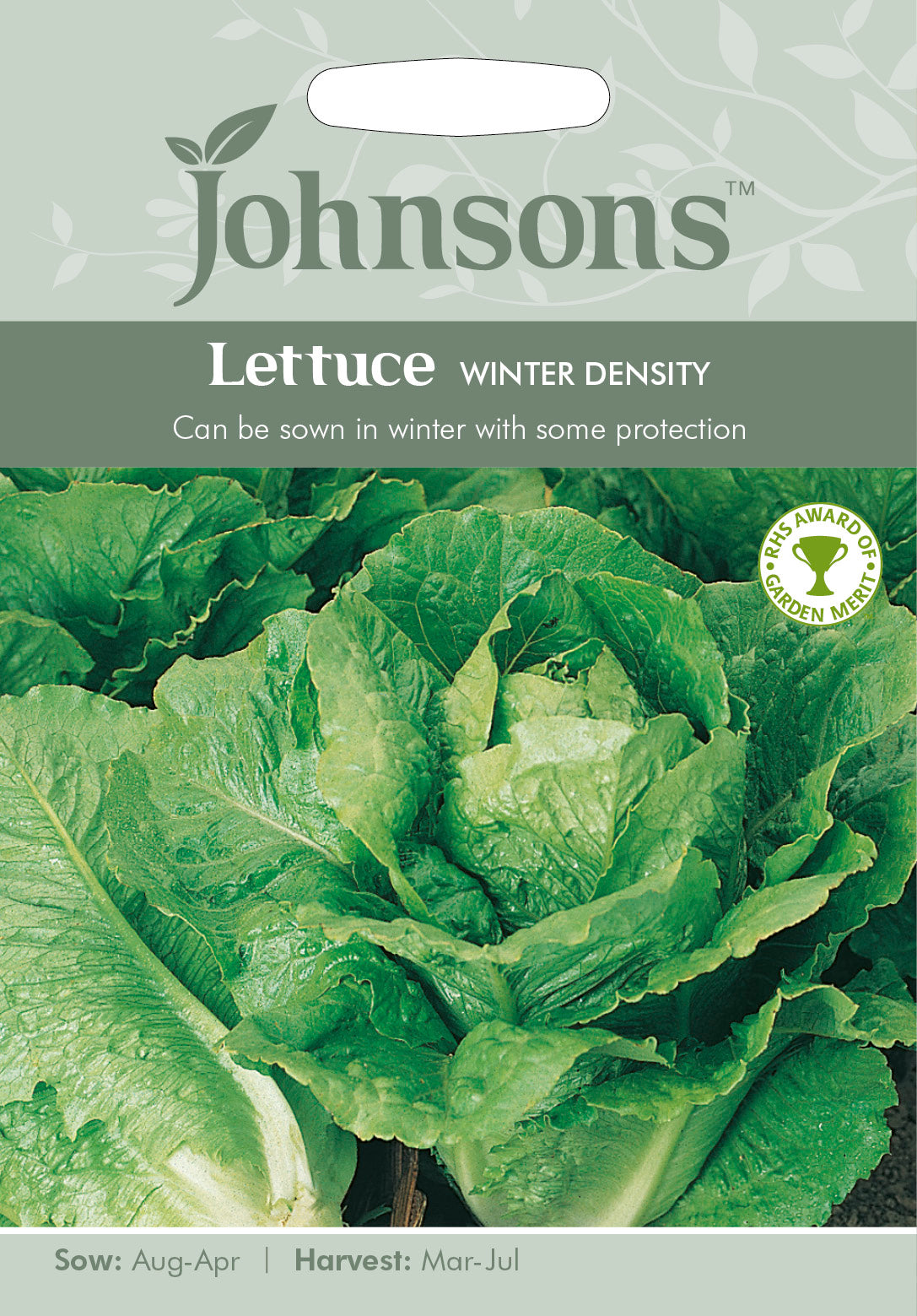 LETTUCE Winter Density