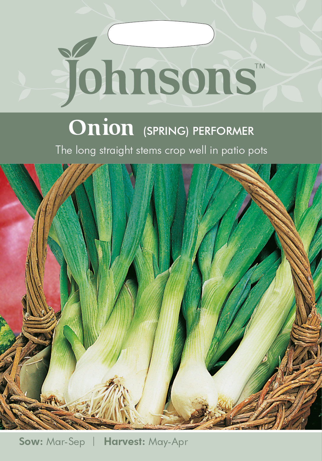 ONION (Spring) Performer