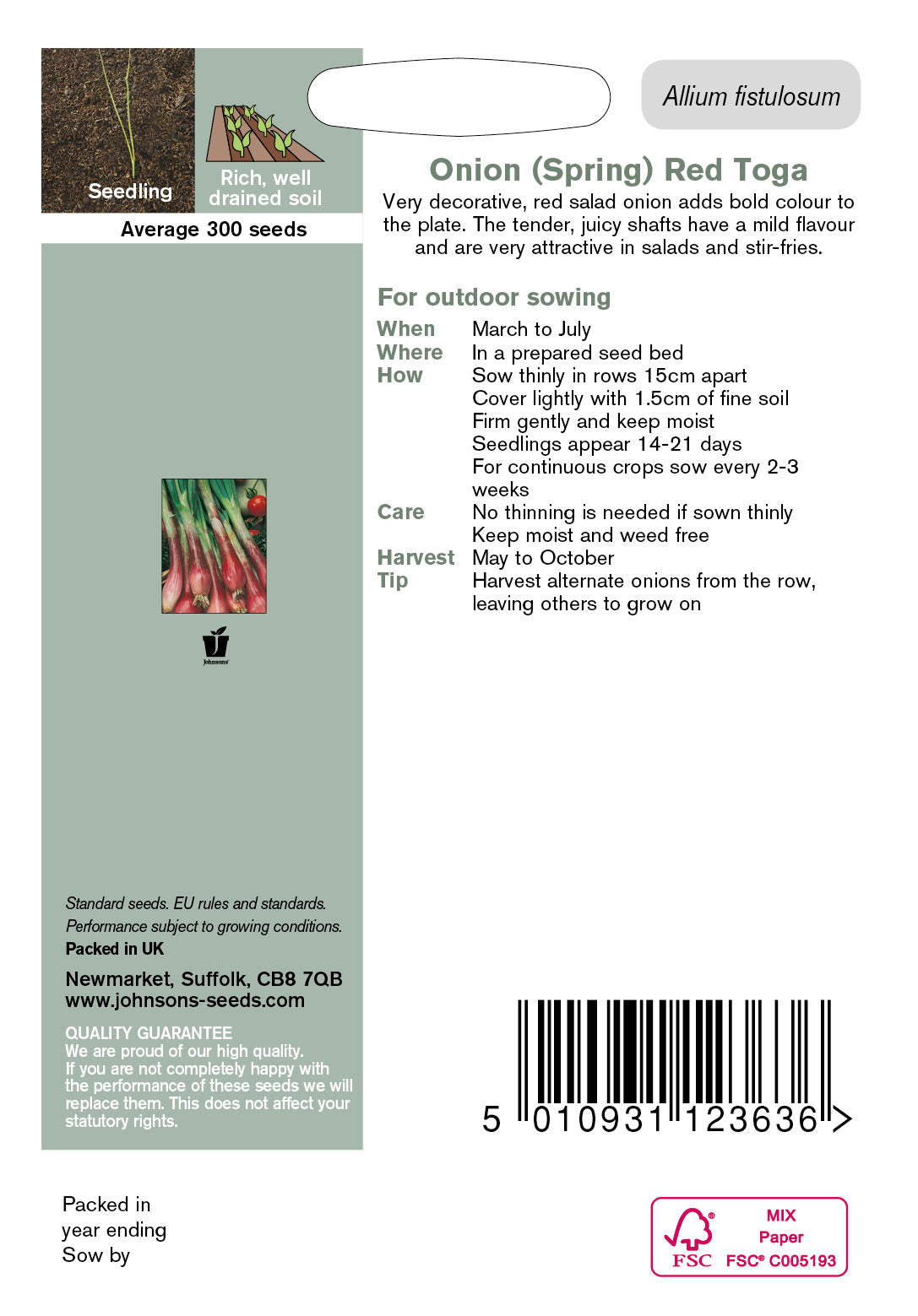 ONION (Spring) Red Toga