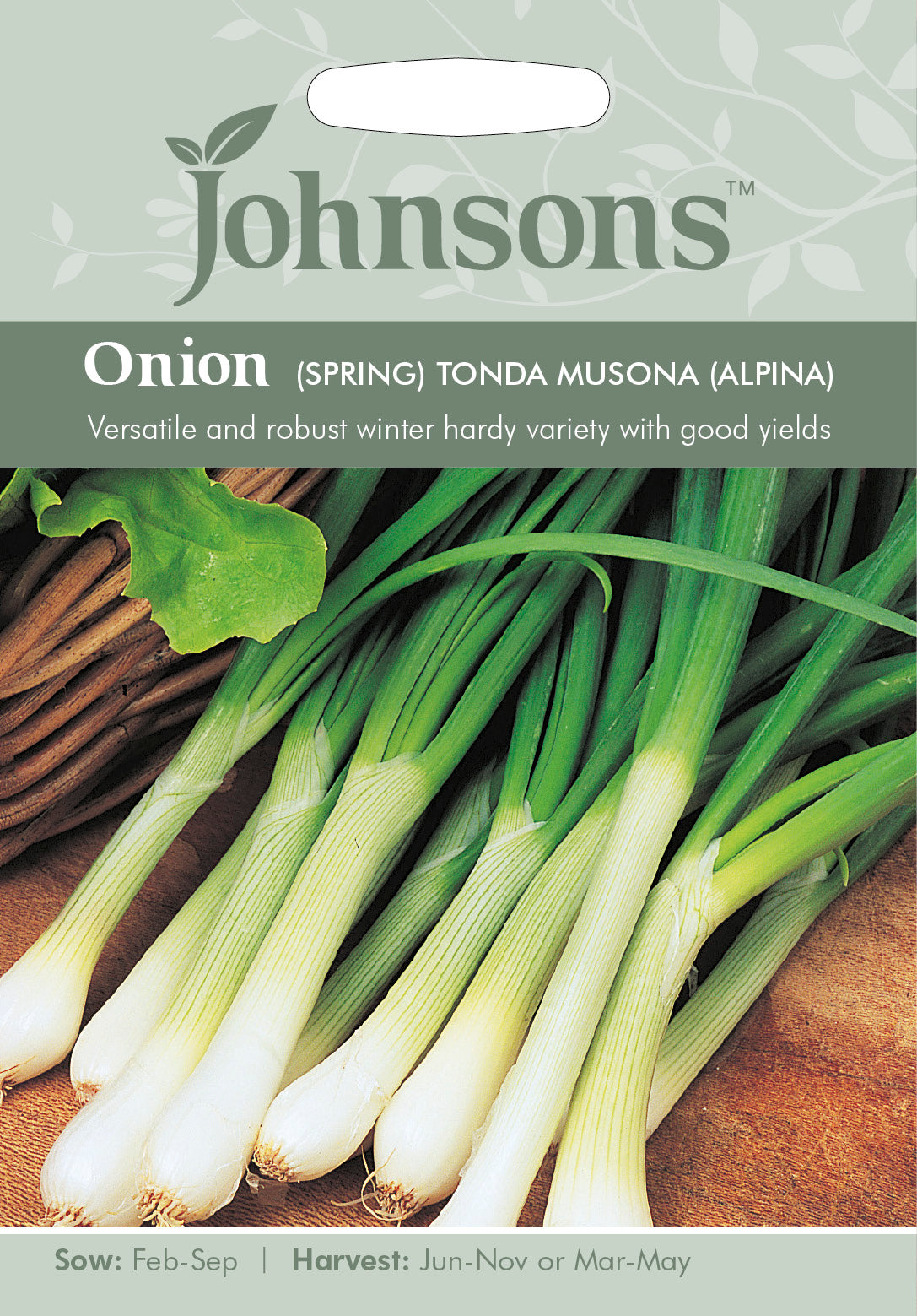ONION (Spring) Tonda musona (Alpina)