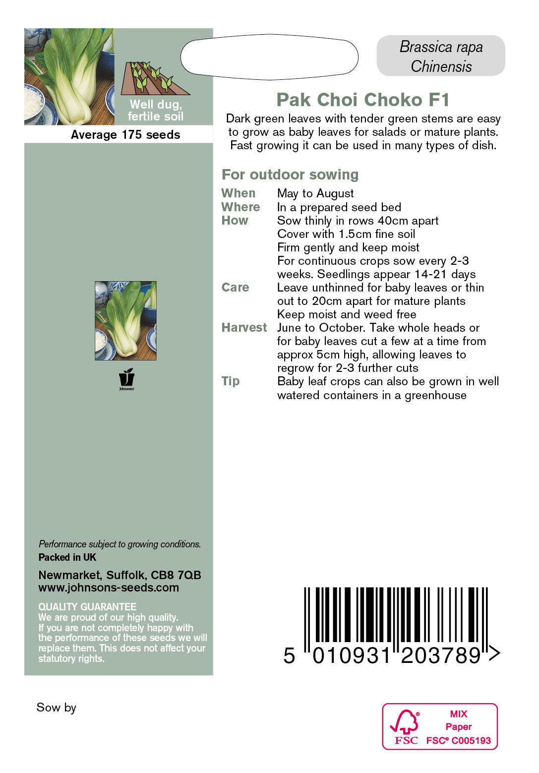 PAK CHOI Choko F1