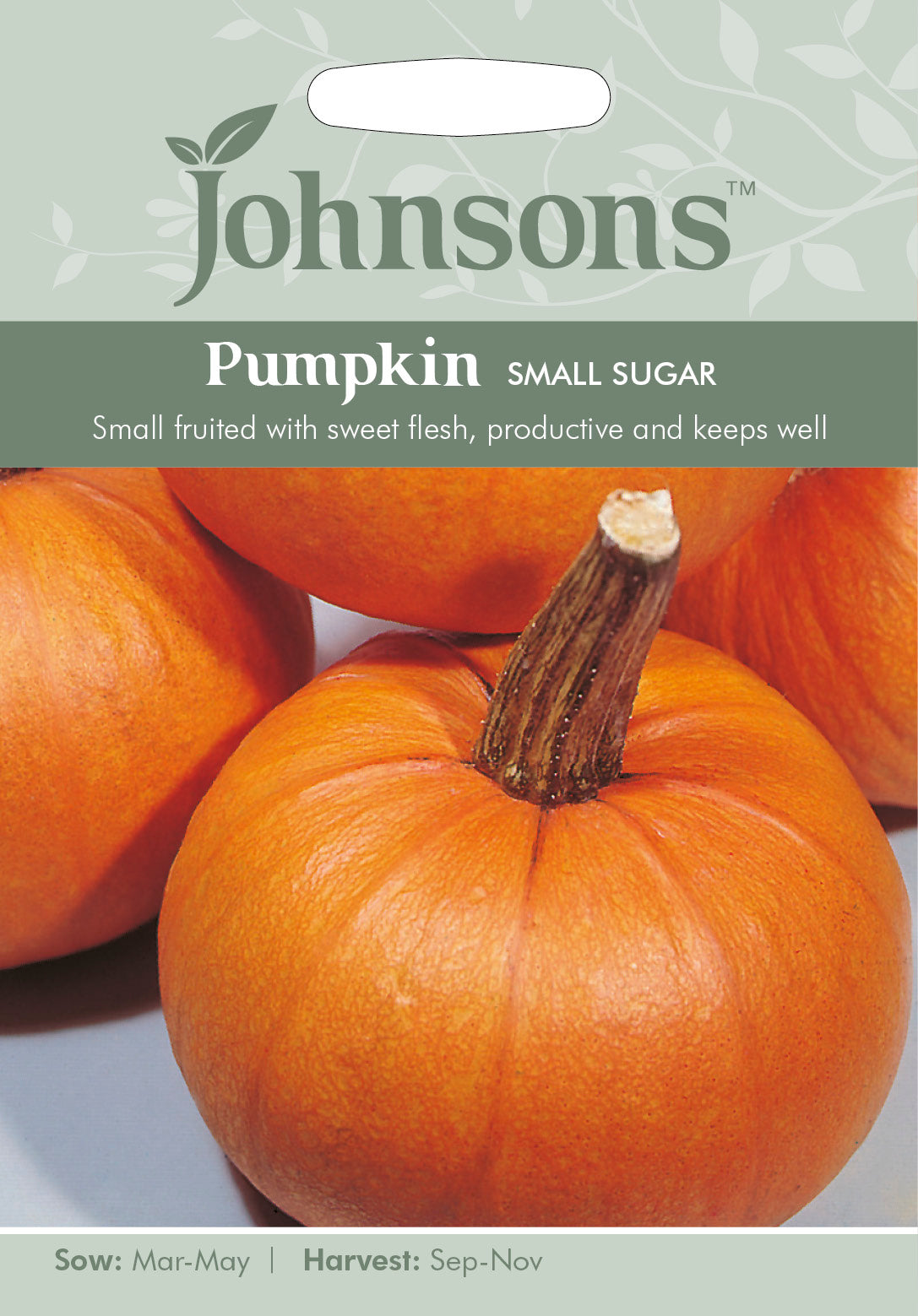 PUMPKIN Small Sugar