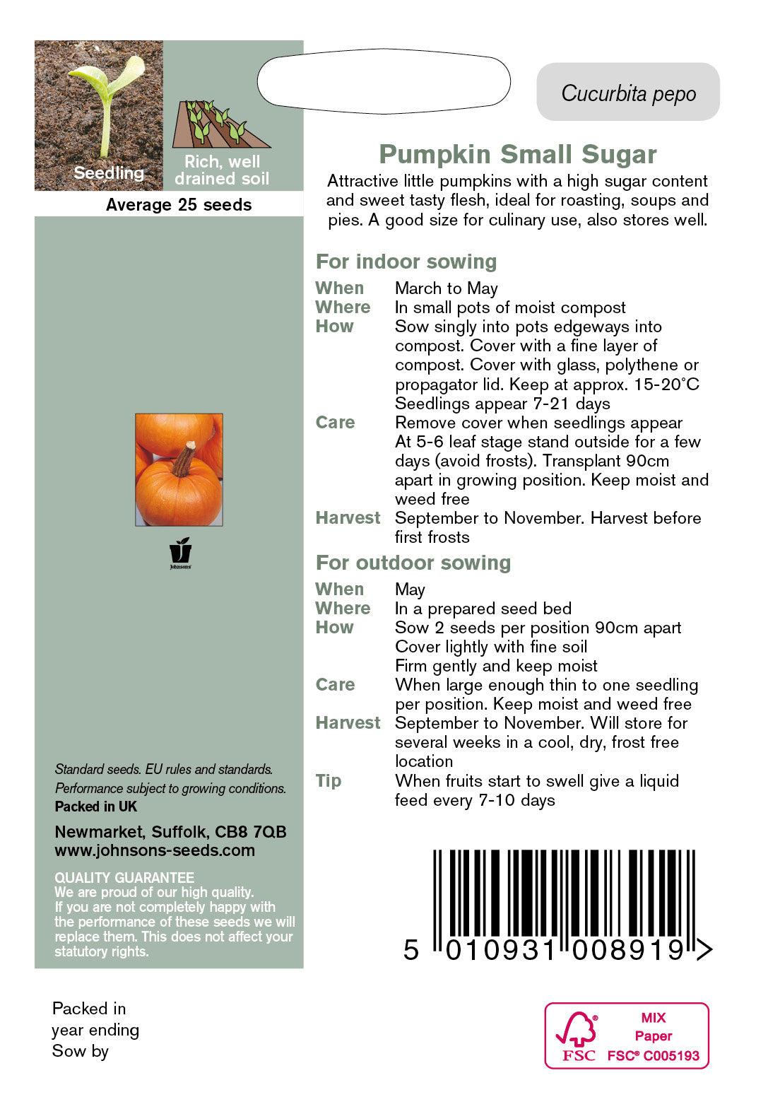 PUMPKIN Small Sugar
