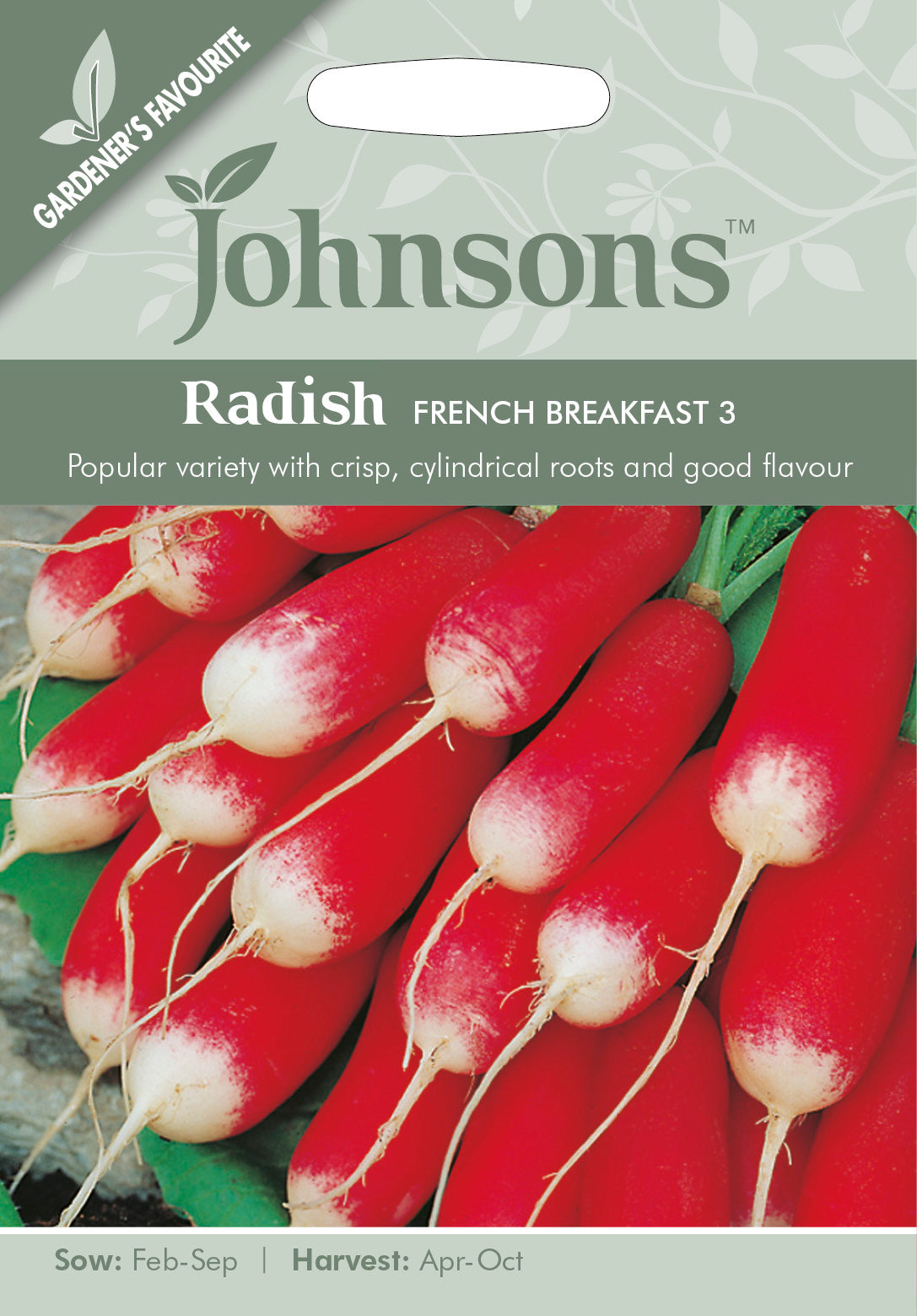 RADISH French Breakfast 3
