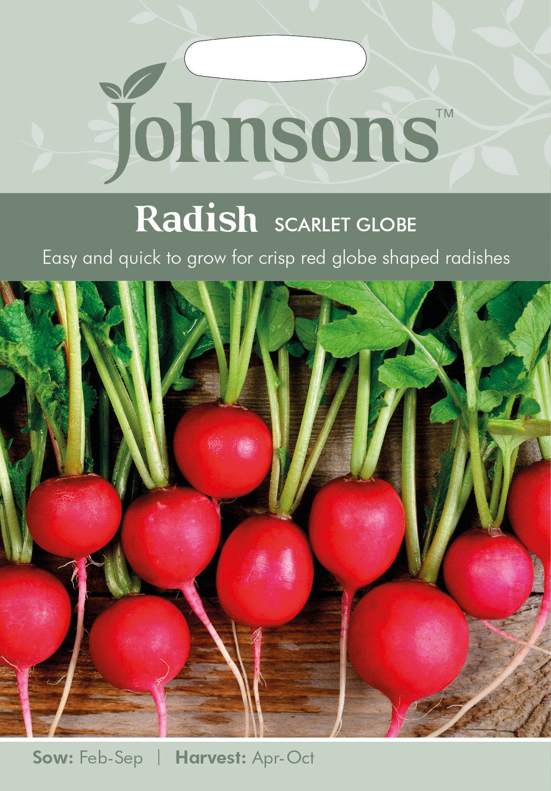 RADISH Scarlet Globe