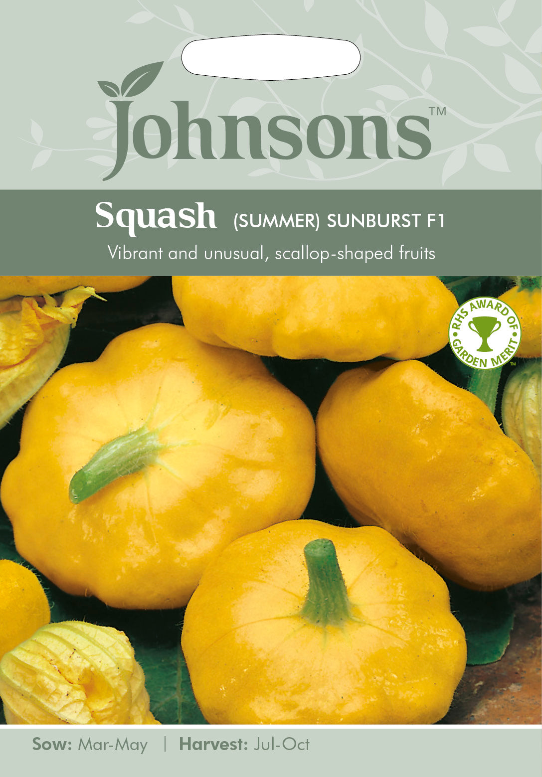 SQUASH (Summer) Sunburst F1