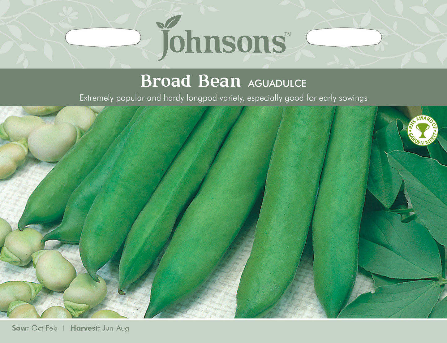 BROAD BEAN Aguadulce