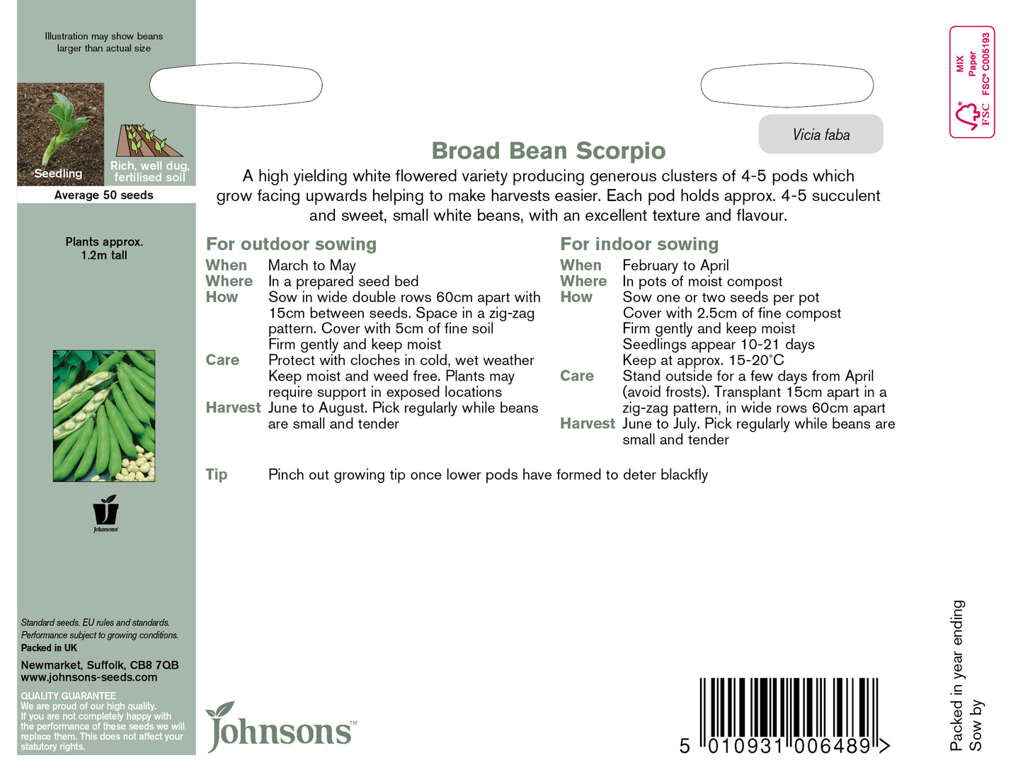 BROAD BEAN Scorpio