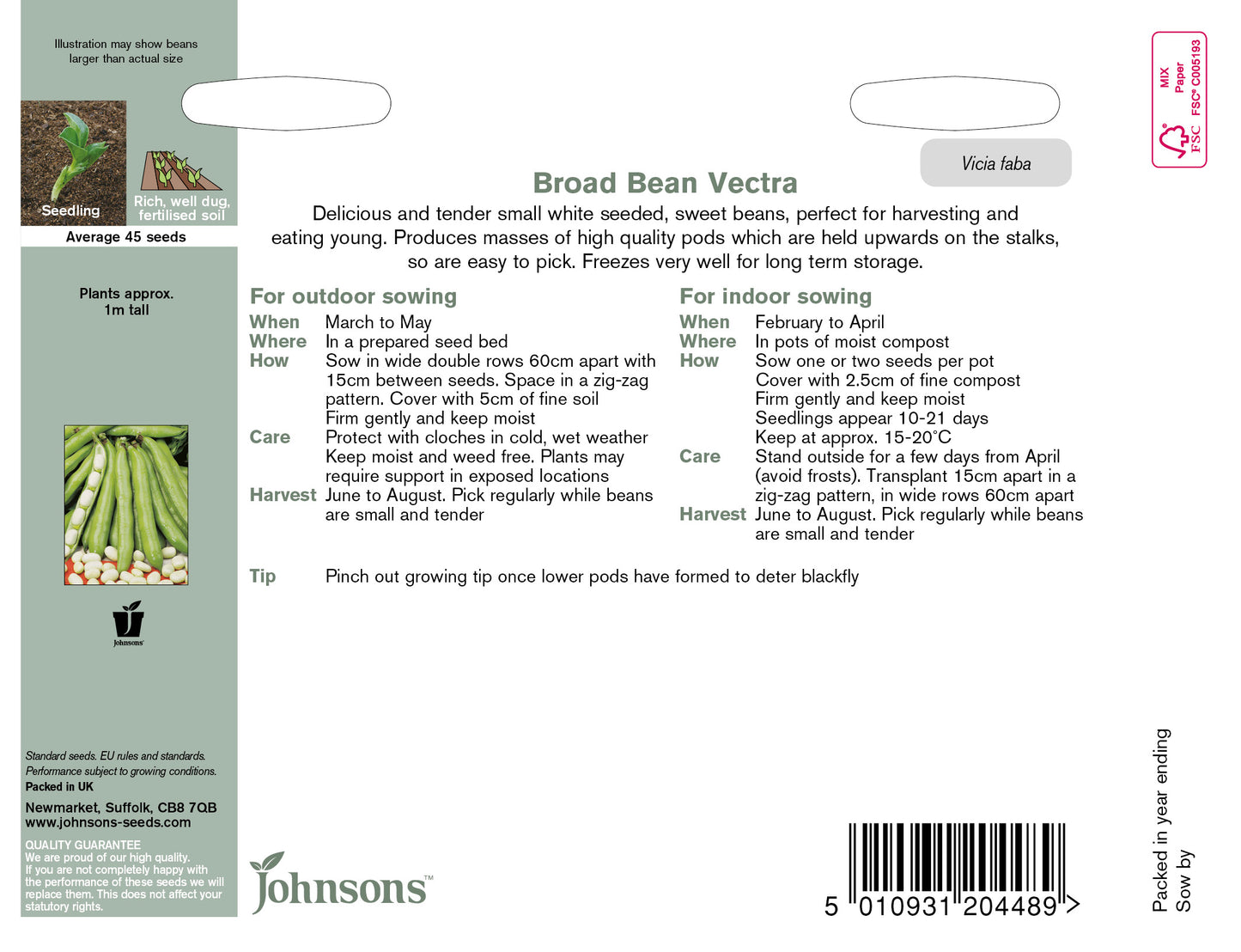 BROAD BEAN Vectra