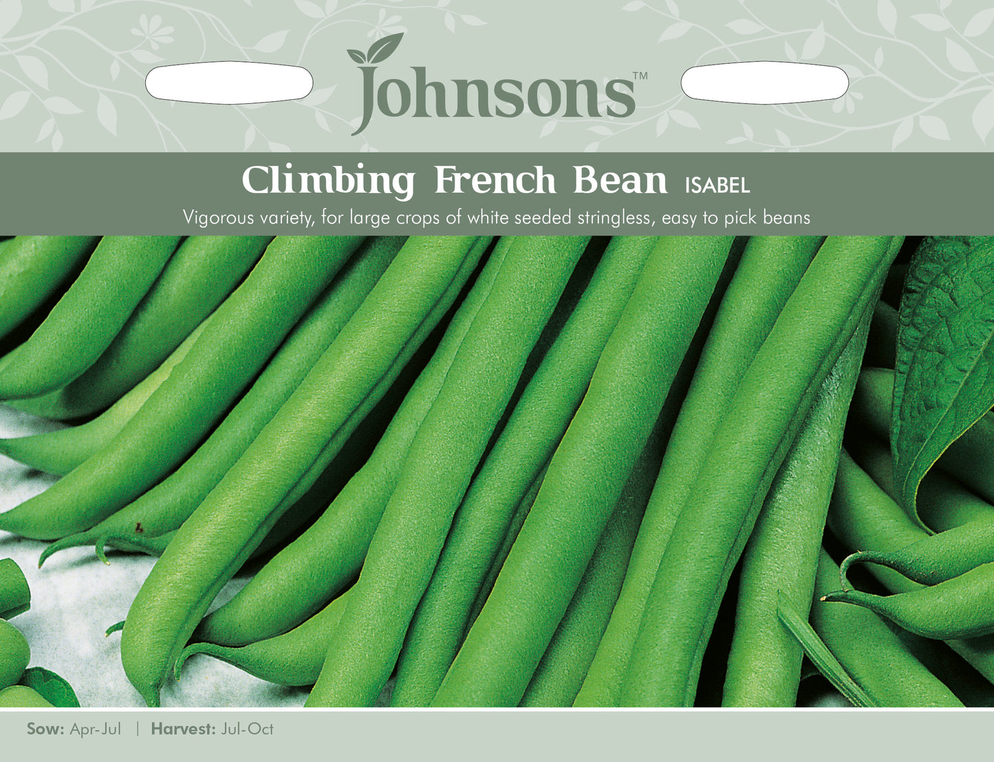 CLIMBING FRENCH BEAN Isabel