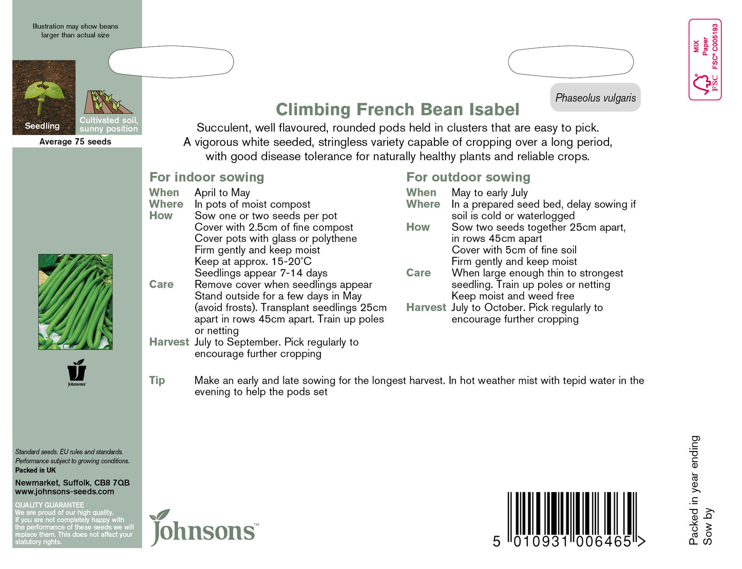CLIMBING FRENCH BEAN Isabel