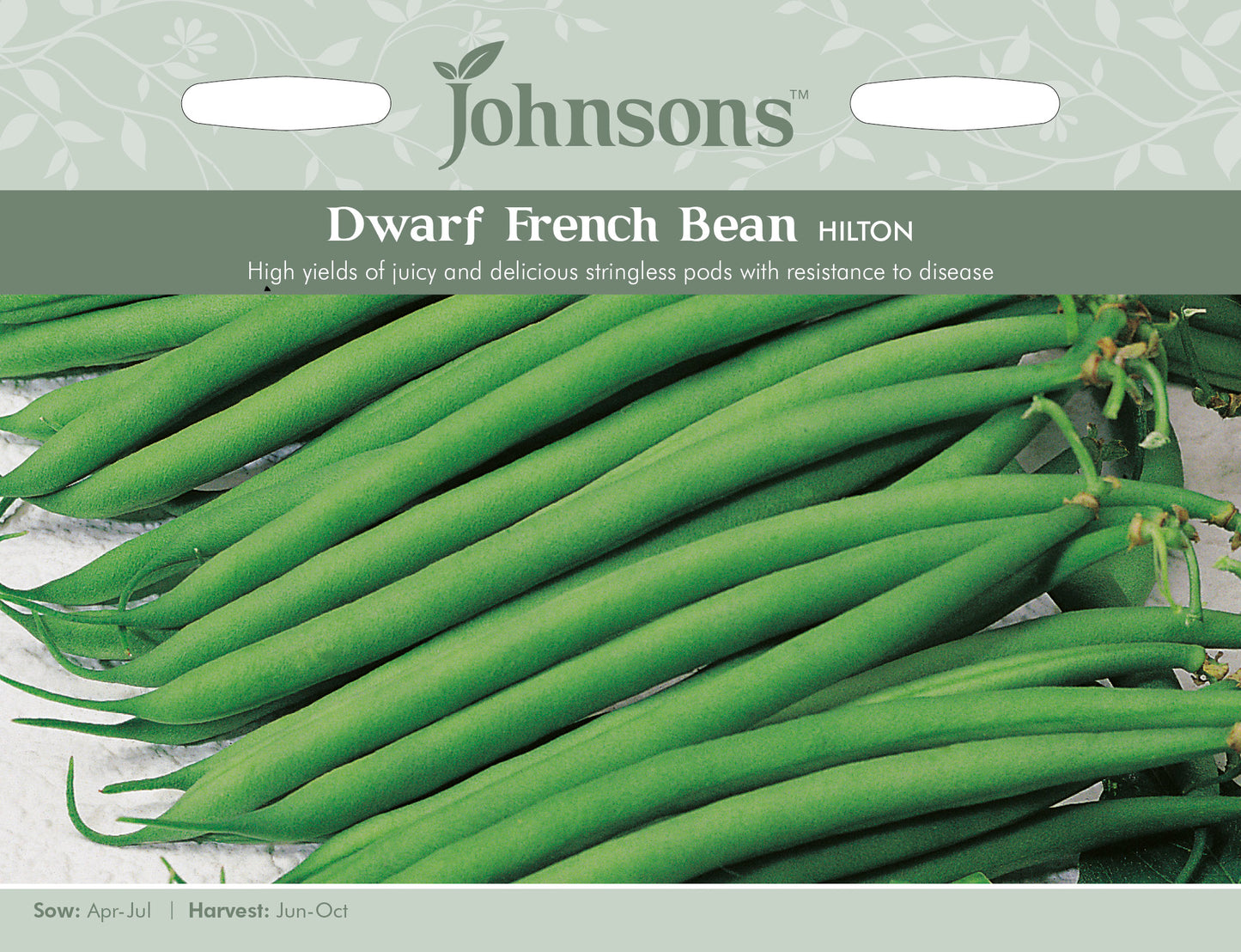 DWARF FRENCH BEAN Hilton