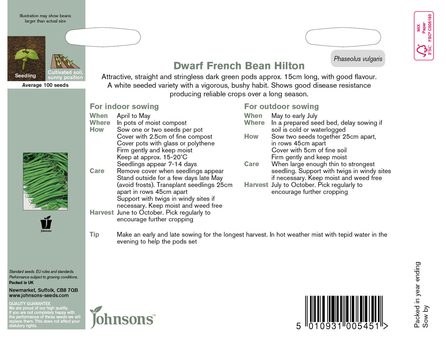 DWARF FRENCH BEAN Hilton