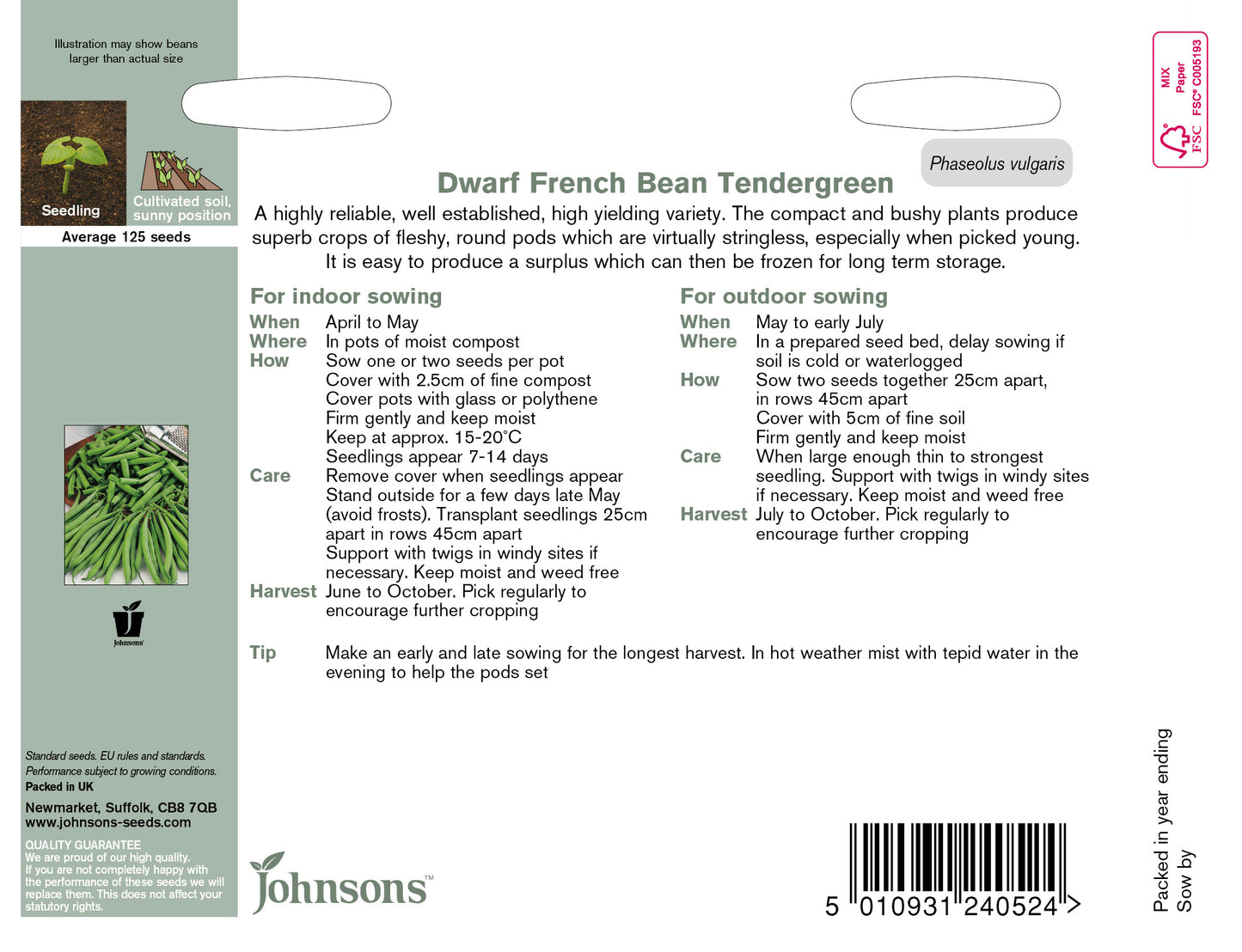 DWARF FRENCH BEAN Tendergreen