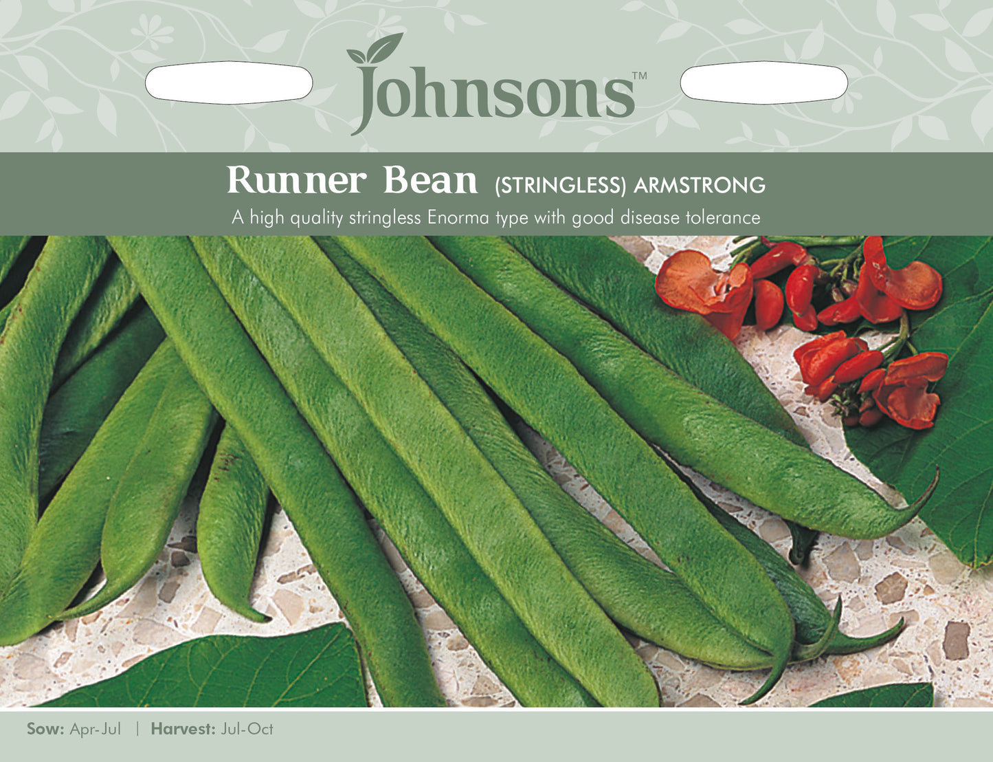 RUNNER BEAN Armstrong (Stringless)