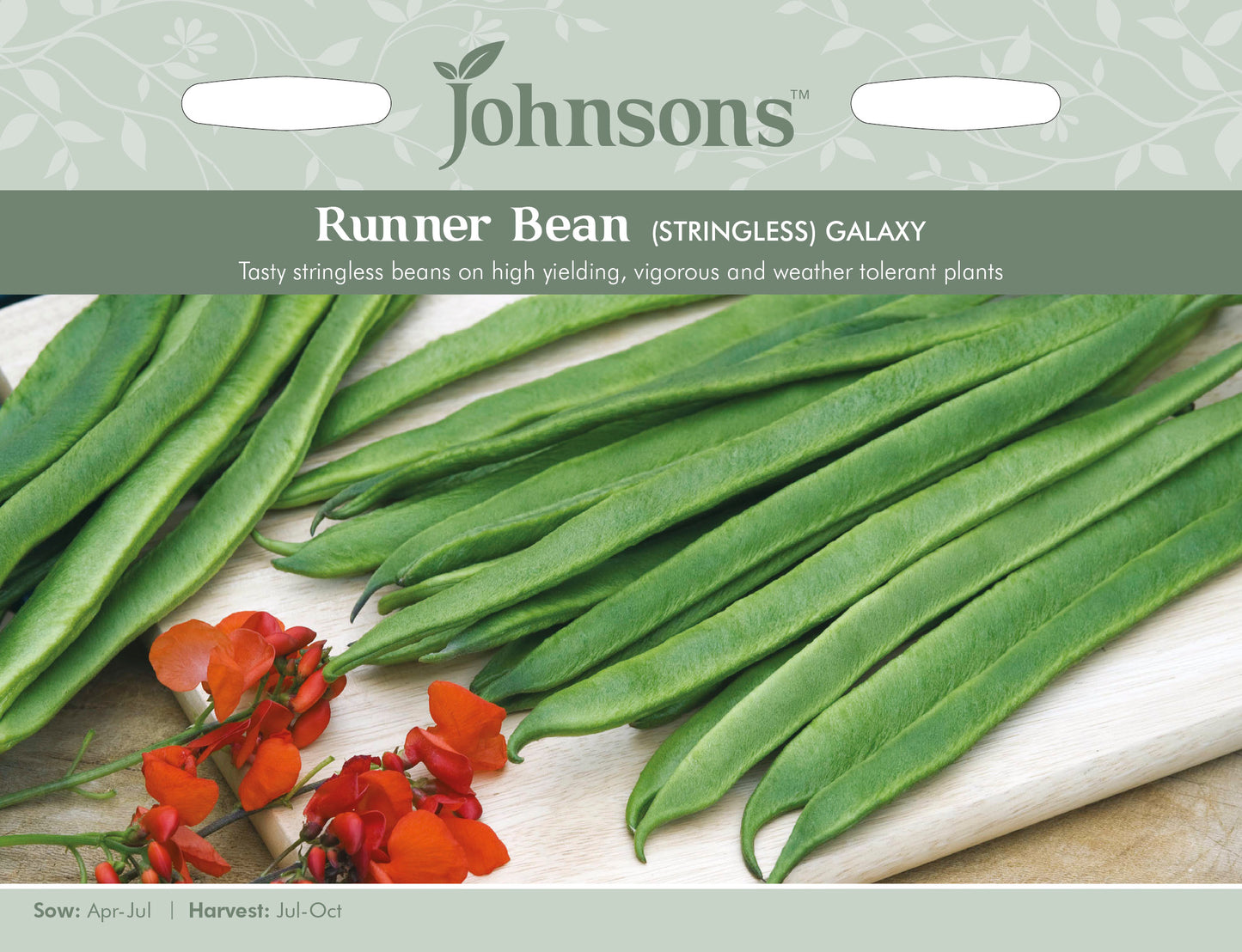 RUNNER BEAN Galaxy (Stringless)