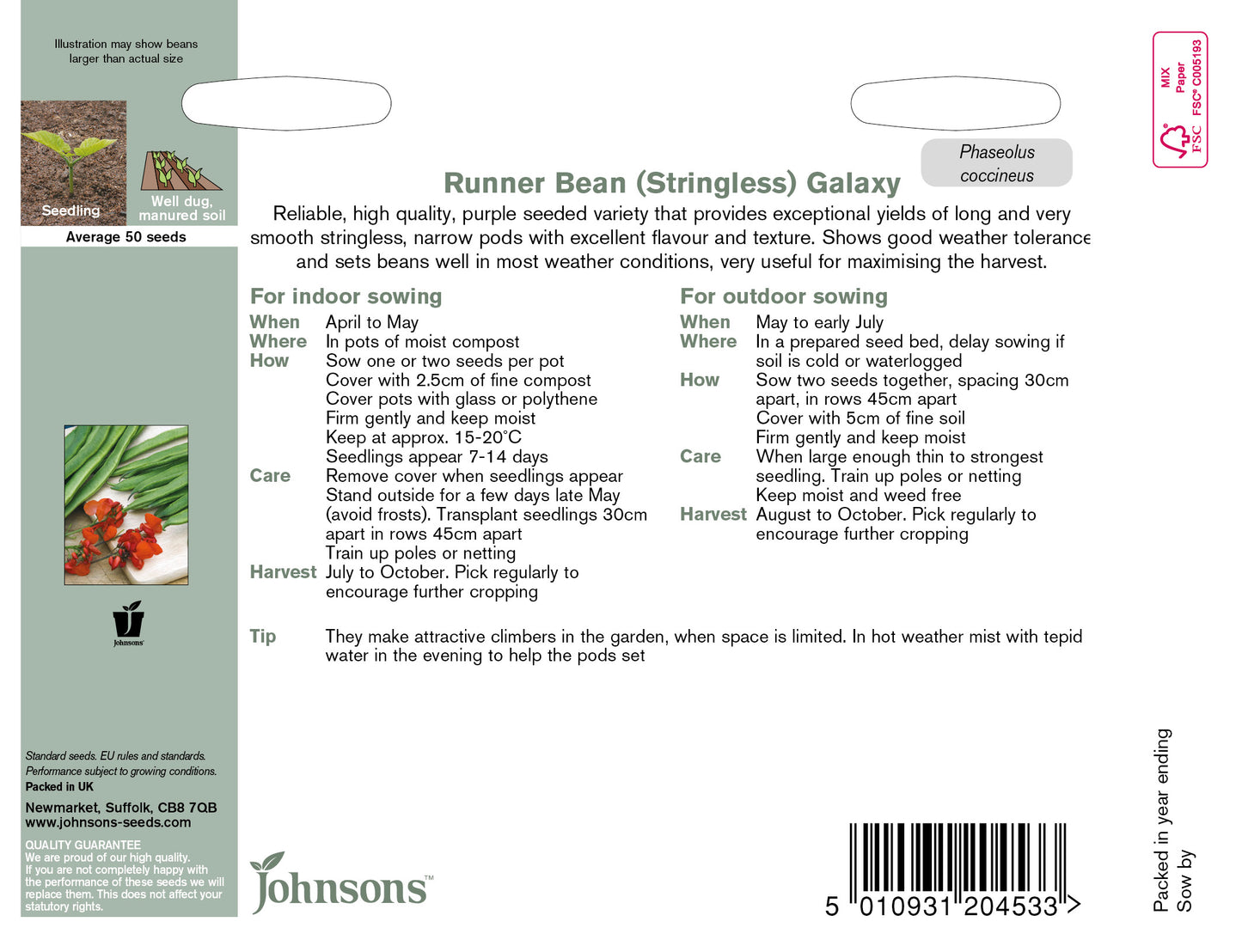 RUNNER BEAN Galaxy (Stringless)