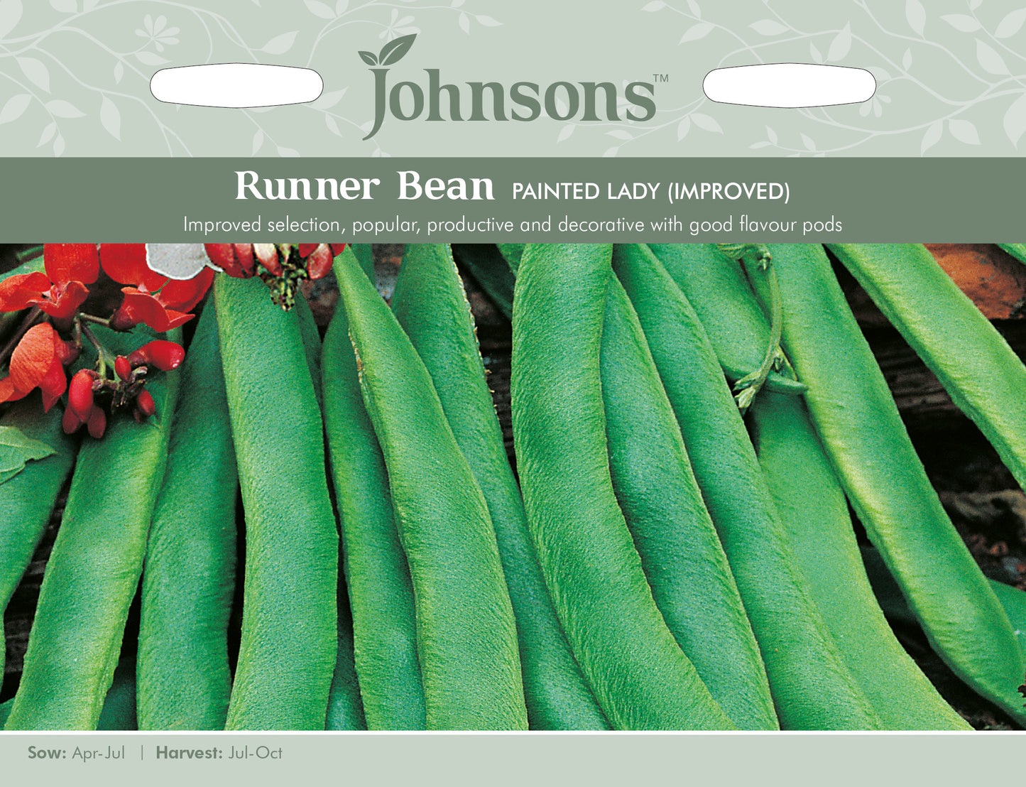 RUNNER BEAN Painted Lady (Improved)