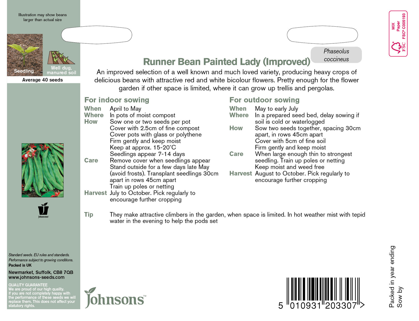 RUNNER BEAN Painted Lady (Improved)