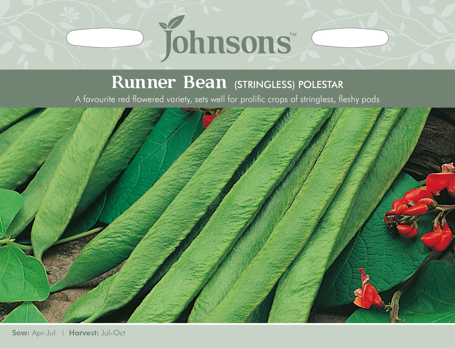 RUNNER BEAN Polestar (Stringless)