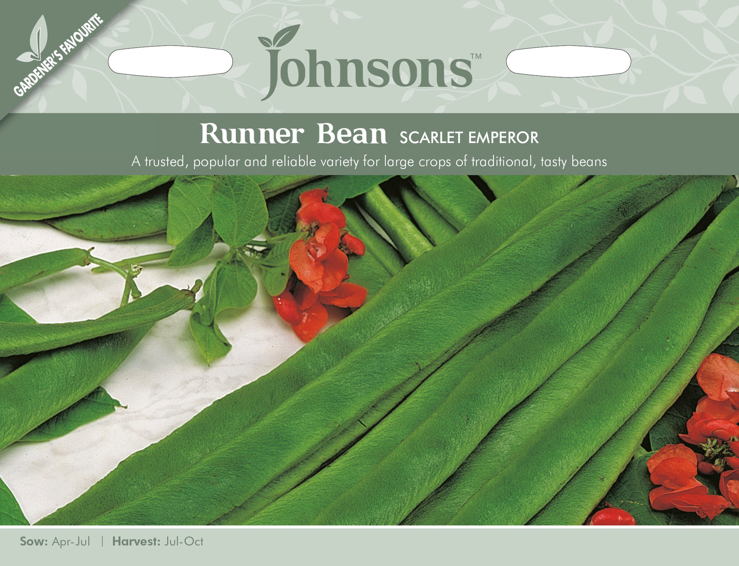 RUNNER BEAN Scarlet Emperor