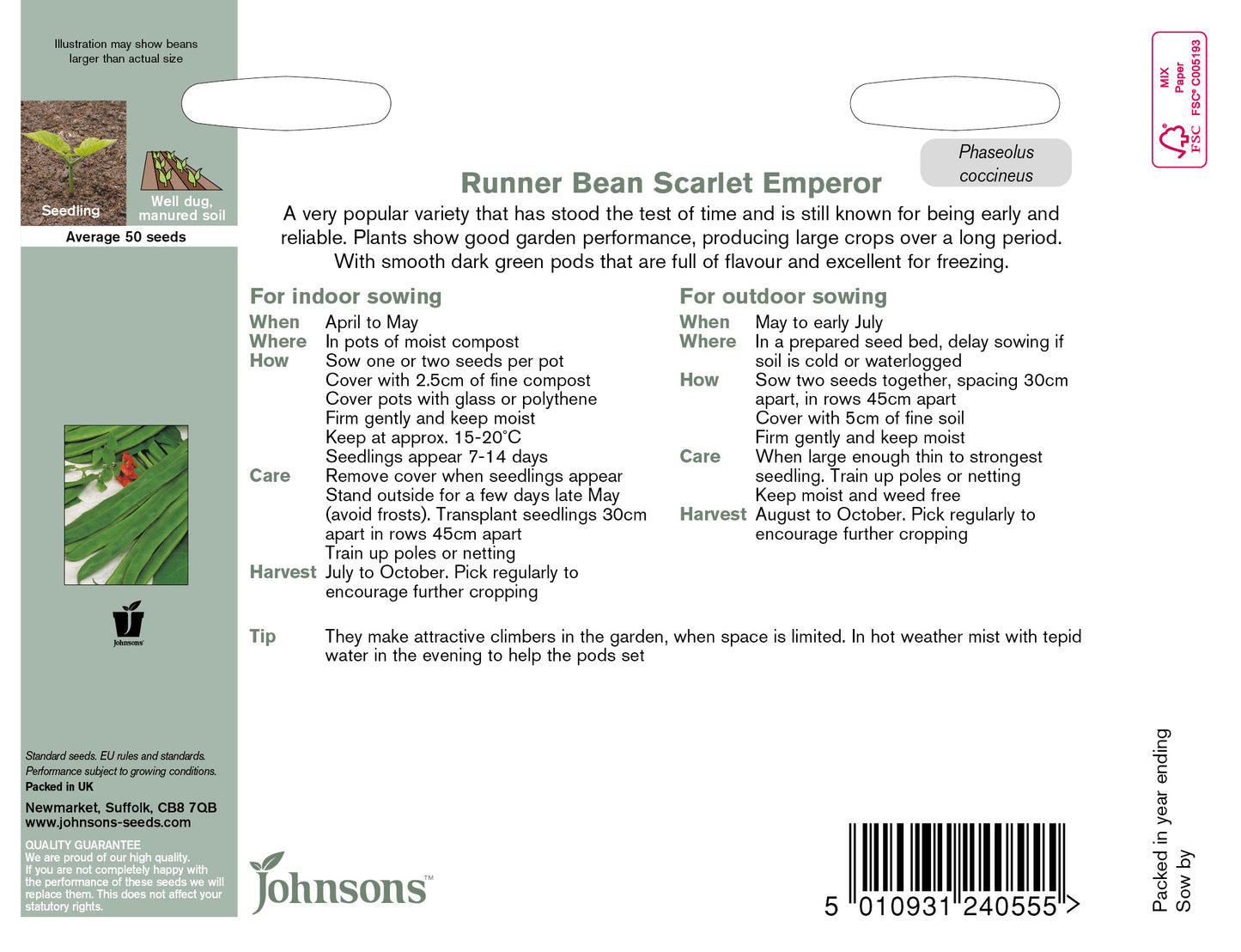 RUNNER BEAN Scarlet Emperor