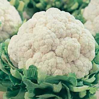 CAULIFLOWER All The Year Round