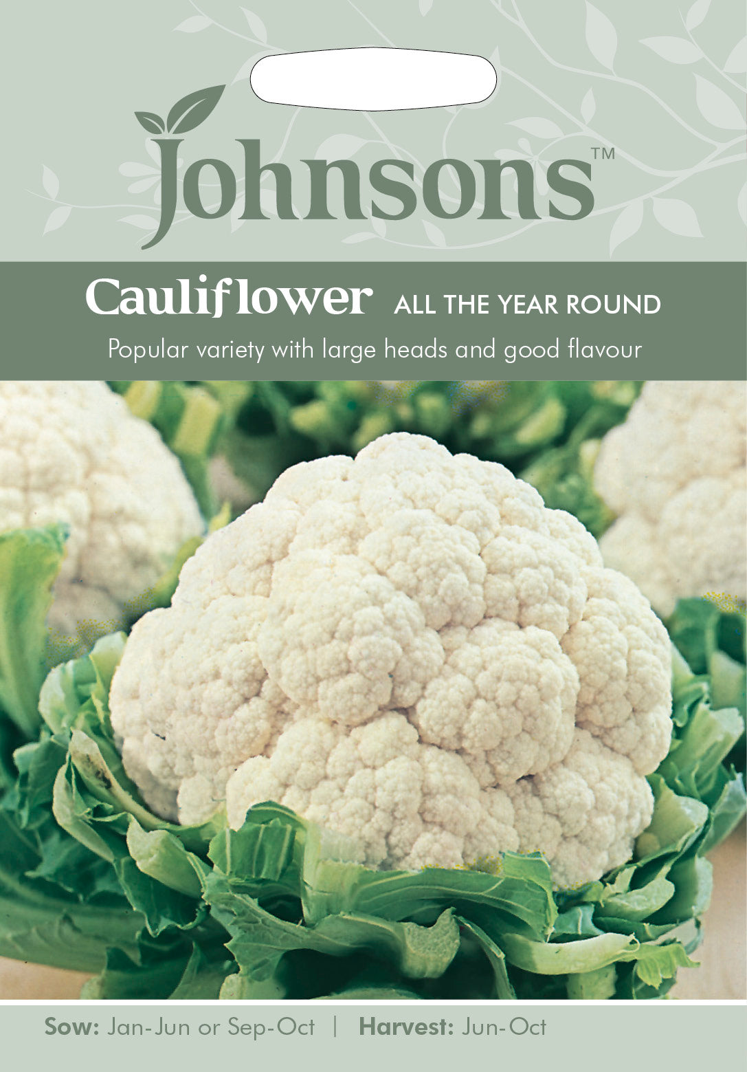 CAULIFLOWER All The Year Round