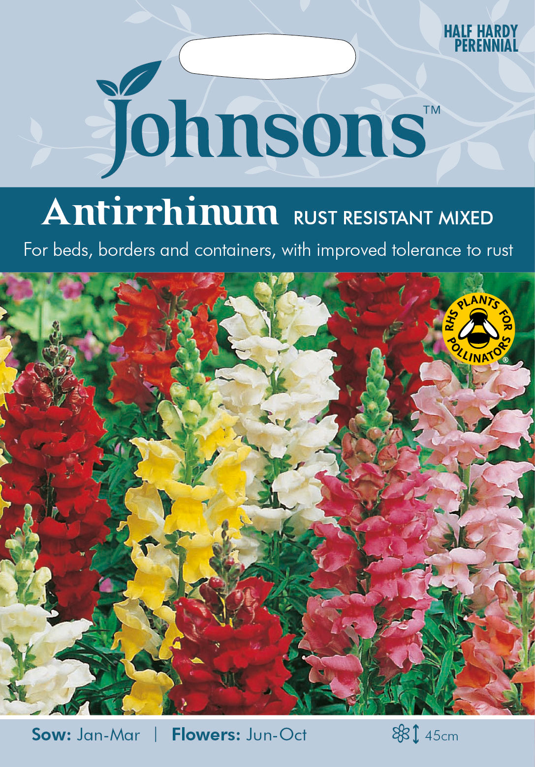 ANTIRRHINUM Rust Resistant Mixed