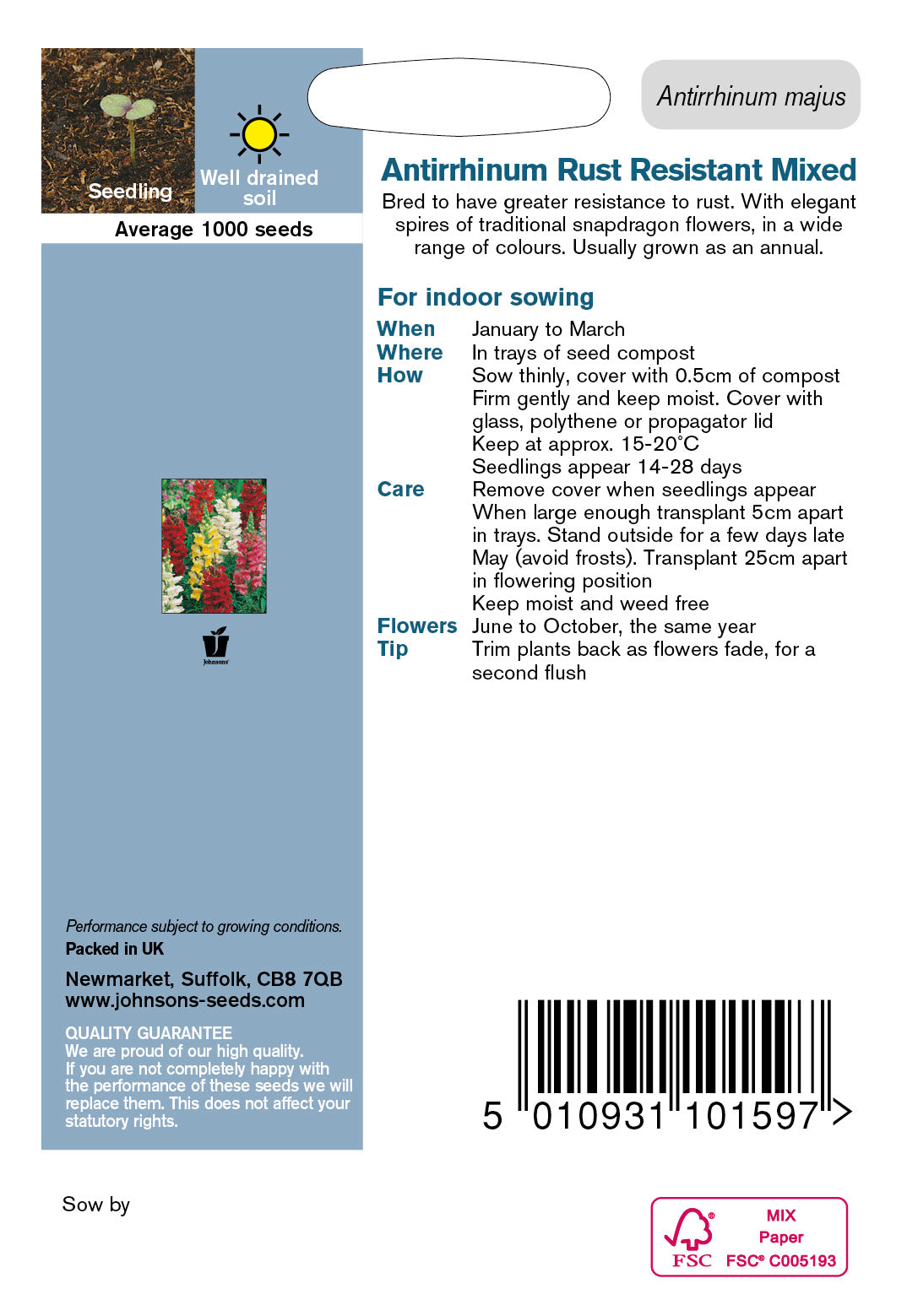 ANTIRRHINUM Rust Resistant Mixed