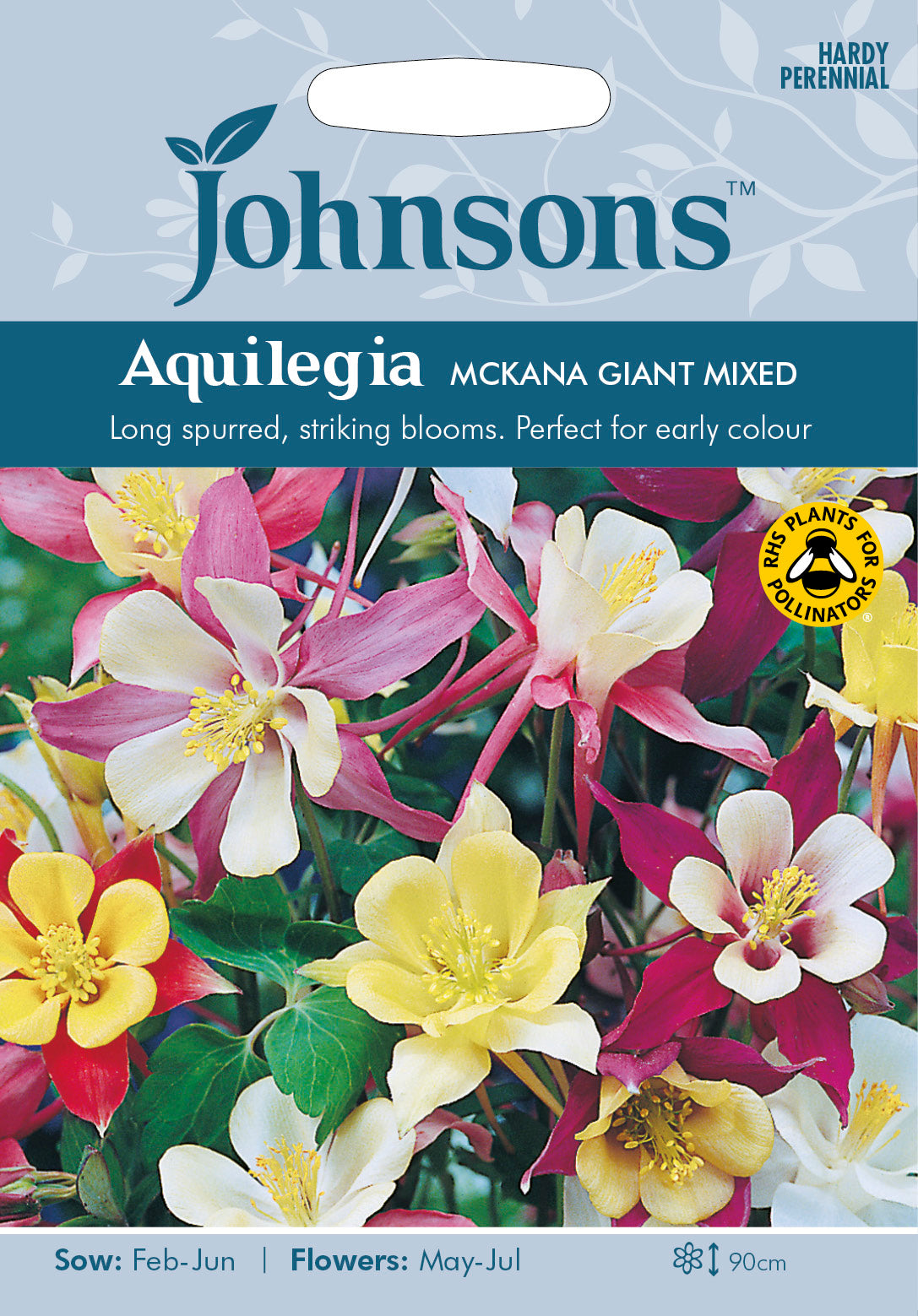 AQUILEGIA McKana Giant Mixed