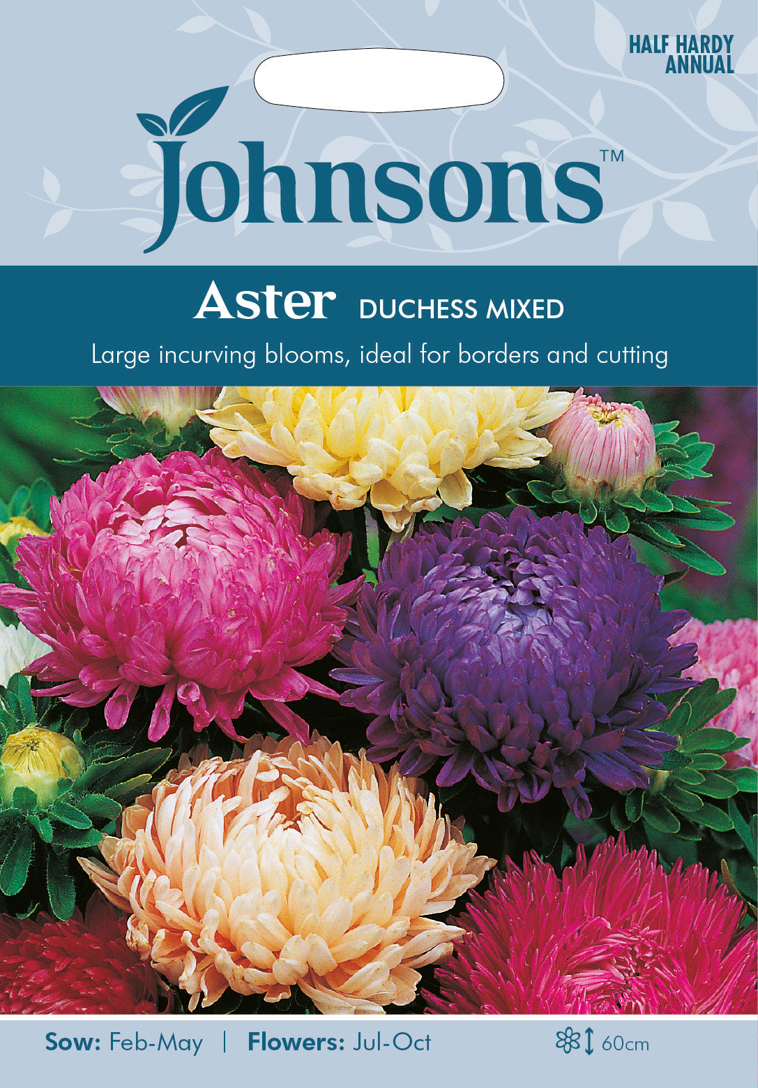 ASTER Duchess Mixed